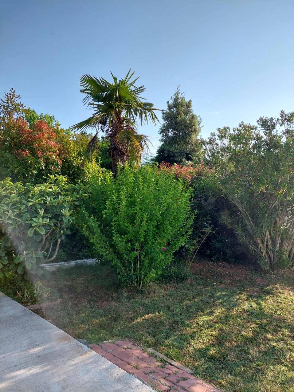Soline Ada Apartment Pjescana Uvala Luaran gambar